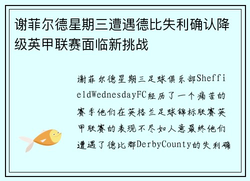 谢菲尔德星期三遭遇德比失利确认降级英甲联赛面临新挑战