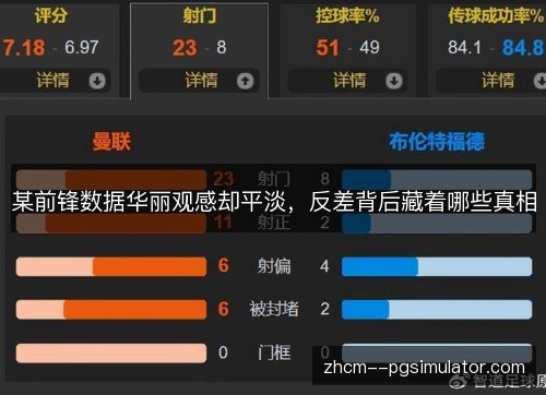 某前锋数据华丽观感却平淡，反差背后藏着哪些真相